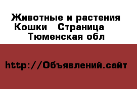 Животные и растения Кошки - Страница 2 . Тюменская обл.